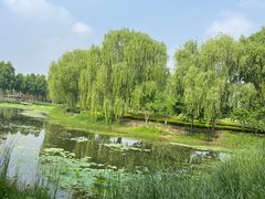 -北龙湖湿地公园