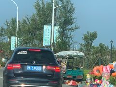 -启东黄金海滩景区