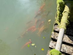 -灵栖洞天