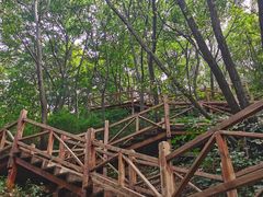 -大岭沟猕猴桃谷风景区
