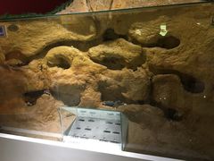 -上海昆虫博物馆