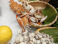 -威珀斯酒店·珀萃美食餐厅 | 海鲜刺身·现烤生蚝·特色烤肉