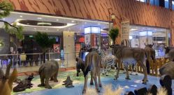 -卡通尼·Safari非洲探索乐园·生日会(金桥国际商业广场店)