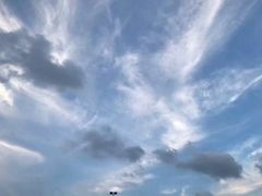 -河南师范大学(主校区)