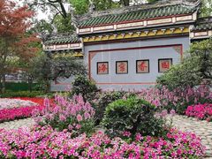 -棠湖公园