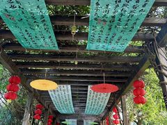 -白马涧龙池景区