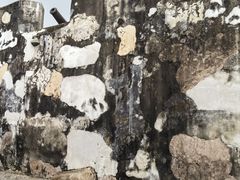 -大炮台