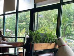 靠窗位-彼芝奇比萨(红坊店)