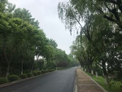 -太阳岛度假酒店