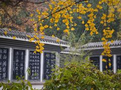 -北京西山滑雪场