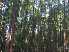 -山王坪喀斯特国家生态公园