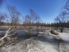 -永定河休闲森林公园