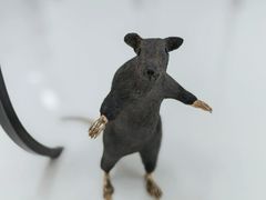 -胶囊画廊