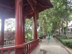 -环城公园