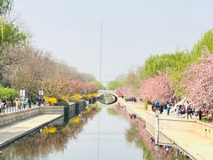 -元大都城垣遗址公园