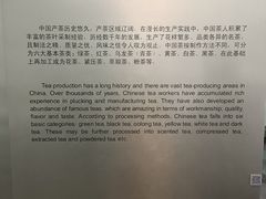 -中国茶叶博物馆(双峰馆区)