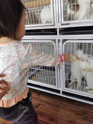 -小蜜蜂农场(凯德七宝购物广场店)