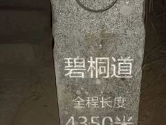 -梧桐山风景名胜区