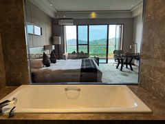 -河源万绿湖美思威尔顿酒店