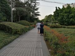 -神仙树公园