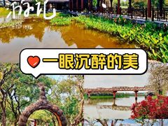 -海珠湖公园