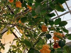 -常州花鸟园酒店(西太湖品牌优选店)