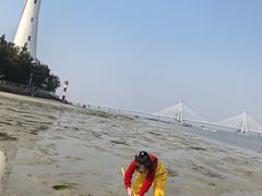 -北海金海湾红树林生态旅游区