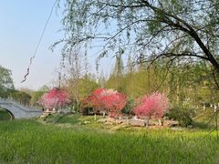 -南山风景名胜区