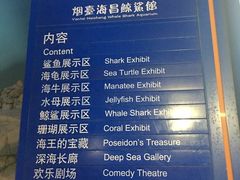 -烟台海昌鲸鲨海洋公园