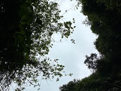 -海口火山口国家地质公园