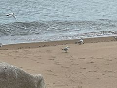 -老虎石海上公园