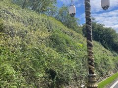 -宜兴龙背山森林公园