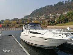 -千岛湖希尔顿休闲艇俱乐部