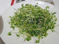 -潇湘府•湘菜领军品牌(望京店)
