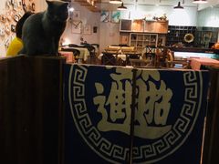 -吉丁鸟咖·异宠·寄养