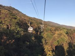 -紫金山索道-售票处