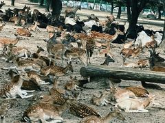 -西安秦岭野生动物园