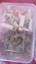 -海南省妇女儿童医学中心(龙昆南路院区)