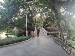 -荔湾湖公园