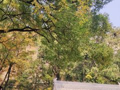 -北京上方山国家森林公园