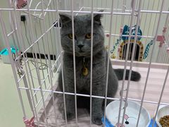 -藏猫猫咖啡主题馆(中央大道店)