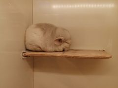 -龙猫仔乐园(惠福东路店)