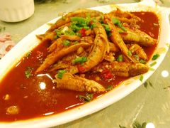 黄山鱼-黄山阿拉酒店(黄山风景区换乘中心店)