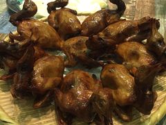 -石岐乳鸽村(南海第三分店)