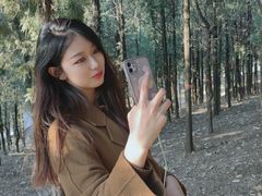 -泰山风景名胜区-普照寺