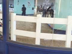-骑乐马术(广州奥体优托邦中心)