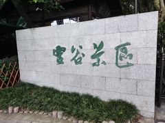 -灵谷景区
