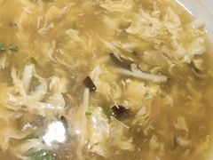 -邵年鸽(杨庄店)