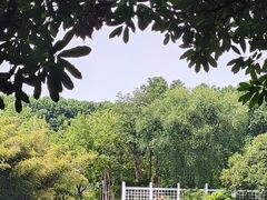 -河南省黄河迎宾馆