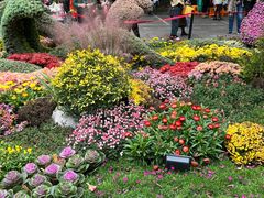 -杭州植物园